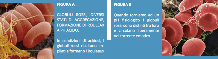 Schermata 2017-08-18 alle 17.21.23